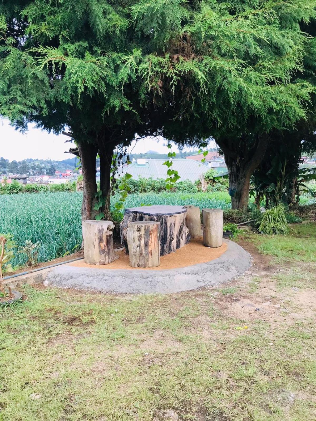Silver Meir Bungalow Nuwara Eliya Kültér fotó